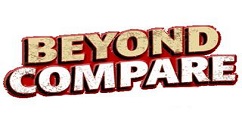 Beyond Compare更换保存文件格式的具体步骤介绍