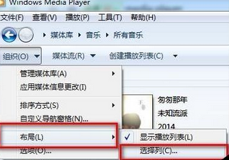 Windows Media Player查看歌曲详情内容的操作教程截图