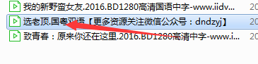 爱奇艺万能播放器手动添加字幕的具体方法截图