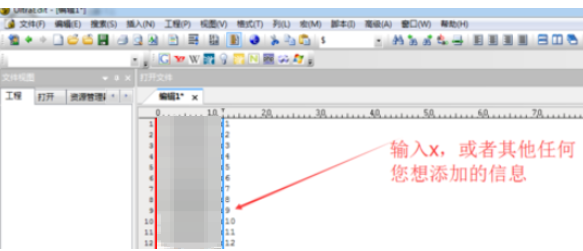 UltraEdit插入列的操作教程截图