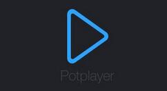 PotPlayer截取gif动图的详细流程
