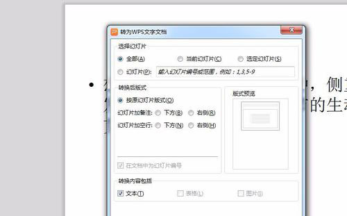 PowerPoint Viewer转成word文件的详细过程截图