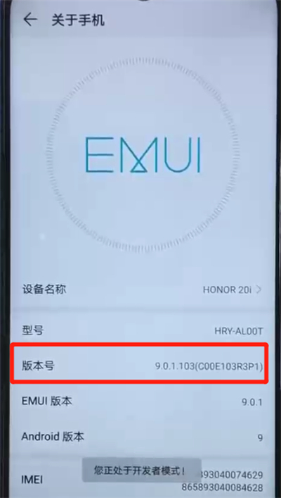 荣耀20i中进入开发者模式的操作方法-下载之家