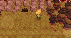 进化之地神圣森林路线与过关方法解析