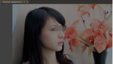 premiere调节视频透明度的详细使用教程