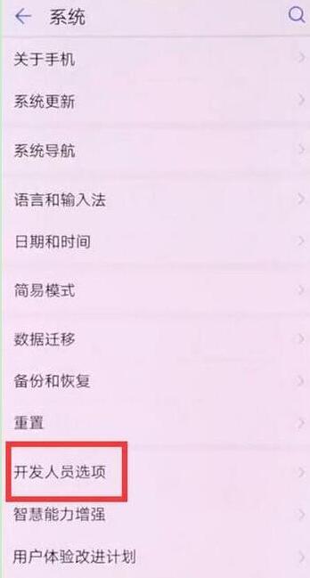 华为畅享9plus打开usb调试的操作步骤截图