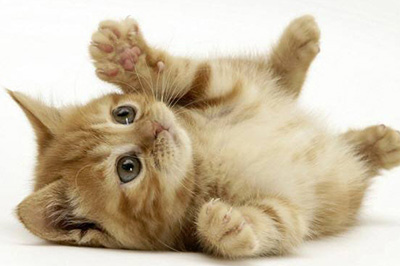 Photoshop制作粉笔画效果的操作方法