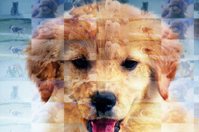 Photoshop设计人物照片马赛克拼图效果的详细操作截图