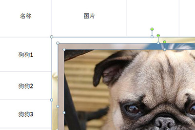 Excel批量导入图片的操作方法截图