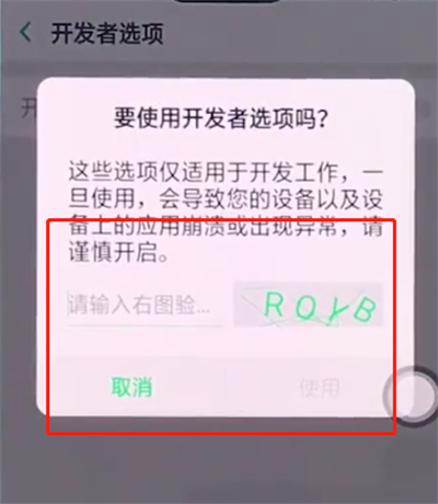 oppo手机中打开开发者选项的详细步骤截图