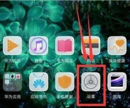 荣耀手机显示步数的操作方法截图