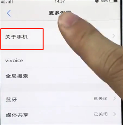 vivo手机中打开开发者选项的简单步骤截图