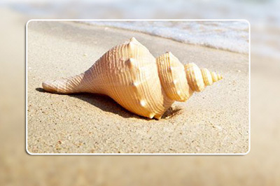 Photoshop制作照片拼贴效果的操作方法截图