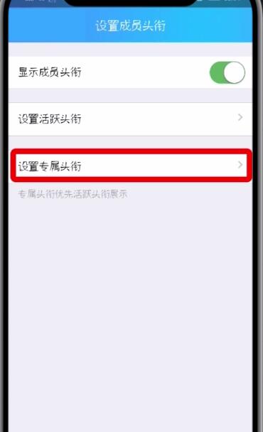 qq群设置专属头衔的方法步骤截图