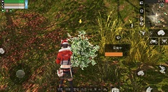 明日之后植树节活动提升植树证书等级攻略