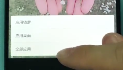 小米手机中设置壁纸的方法截图