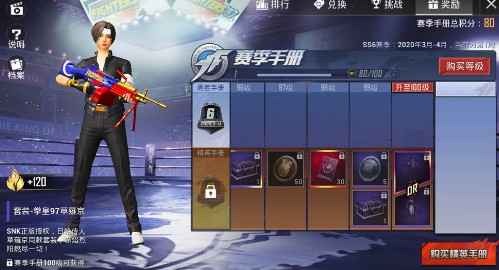 和平精英ss6手册100级皮肤选择对比解析截图