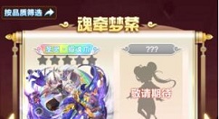 道友请留步先开图鉴还是先升星玩法技巧详解