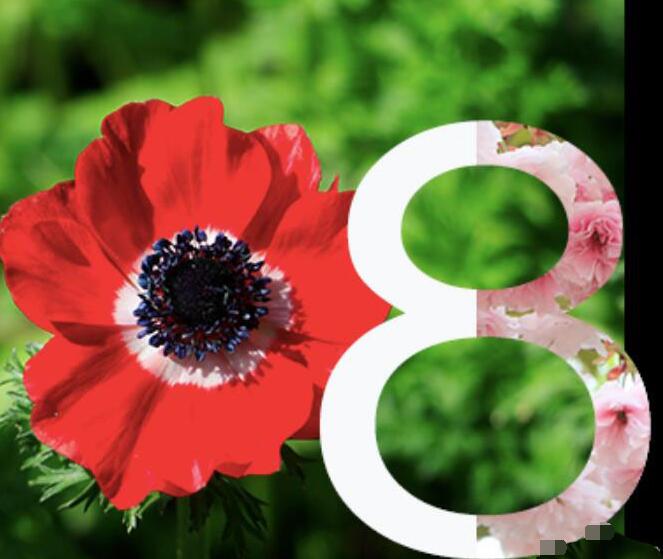 photoshop制作立体字填充花朵的效果的详细方法截图