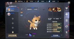 新神魔大陆魔宠刷新点与捕捉攻略