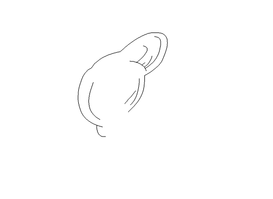 Flash设计卡通美少女图的操作教程截图