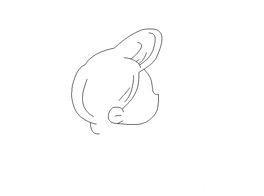 Flash设计卡通美少女图的操作教程截图