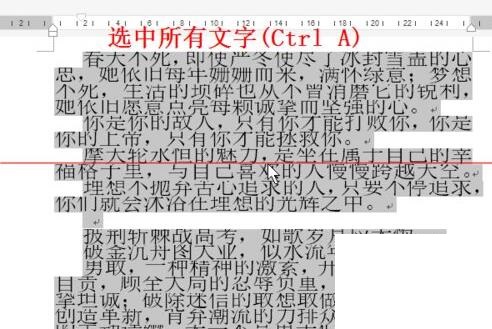 word字体放大后显示不完整的处理操作内容截图