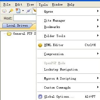 cuteftp中进行设置中文的操作方法截图
