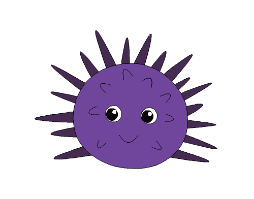 Flash设计海胆图案的操作步骤截图