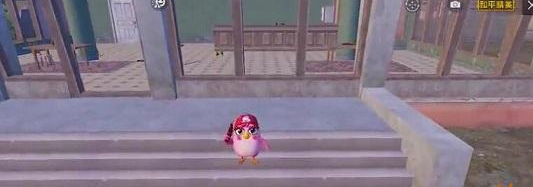 和平精英中秋模式小鸡在哪 和平精英中秋小鸡刷新位置分享截图