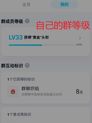 如何查询自己在QQ群中的等级?QQ群查询自己等级的方法
