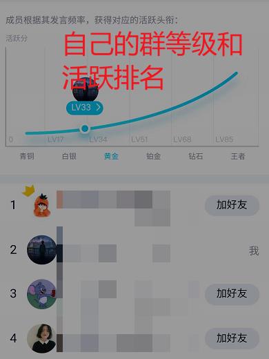 如何查询自己在QQ群中的等级?QQ群查询自己等级的方法