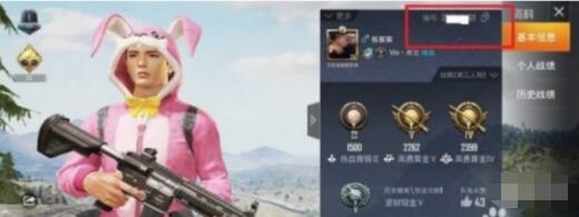 和平精英id在哪里看 和平精英id查看方法介绍截图