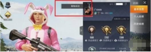 和平精英id在哪里看 和平精英id查看方法介绍截图