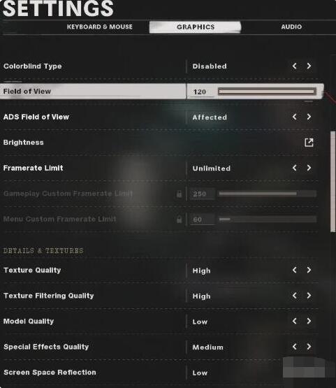 使命召唤17画面卡怎么办？使命召唤17画面设置方法截图