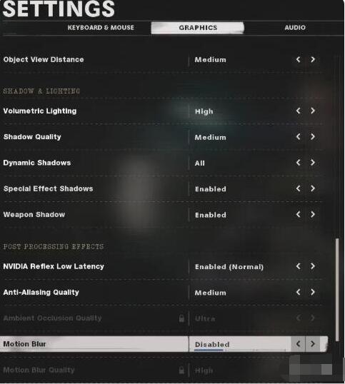 使命召唤17画面卡怎么办？使命召唤17画面设置方法截图