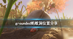 grounded蚂蚁洞位置在哪 grounded蚂蚁洞位置介绍