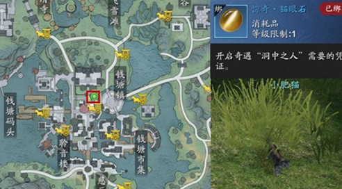 天涯明月刀手游洞中之人怎么过？天涯明月刀手游洞中之人奇遇完成方法解析