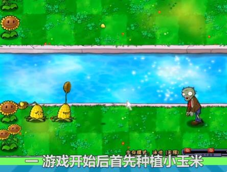 植物大战僵尸如何建造玉米加农炮 植物大战僵尸种植玉米加农炮操作步骤