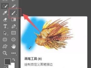 PS2020如何导入笔刷?PS2020导入笔刷的步骤截图