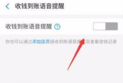 支付宝到账声音在哪设置 开启支付宝到账声音图文教程截图