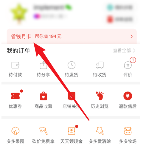 拼多多在哪开通省钱月卡 拼多多开通省钱月卡的操作方法截图