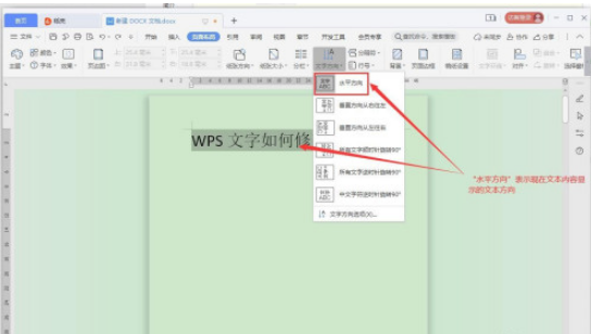 WPS文字方向如何修改 WPS文字方向修改方法截图