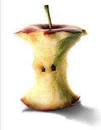 吃苹果的时候不要啃苹果核，这是因为苹果核含有少量的截图