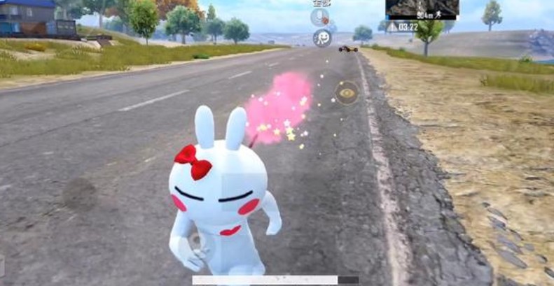 和平精英烟花堆心语怎么用?和平精英烟花堆心语使用效果与性价比解析截图