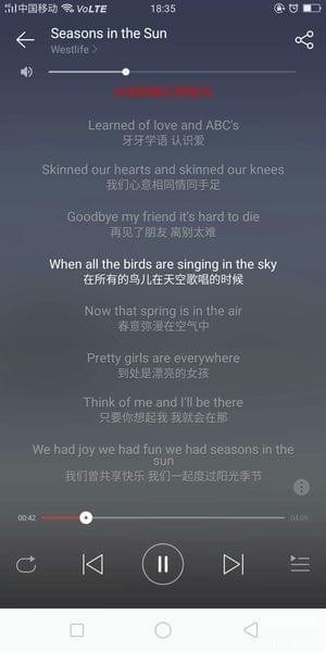 网易云音乐英文歌怎么显示中文？网易云音乐中英歌词翻译方法截图