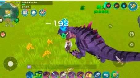 创造与魔法天空果实哪里多?创造与魔法天空果实位置与刷新点分享截图