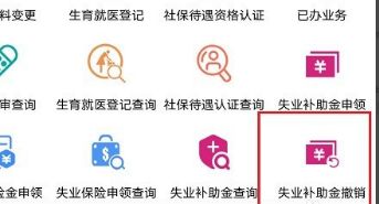 支付宝可以撤销失业补助金申请吗 支付宝教程截图