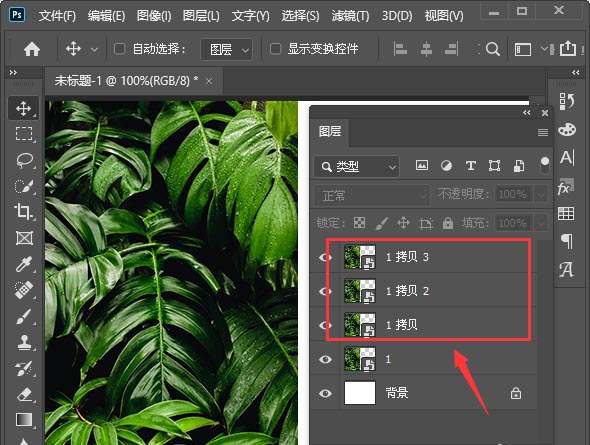 Photoshop中如何把图片弄成各种形状 Photoshop把图片变成其他形状教程截图