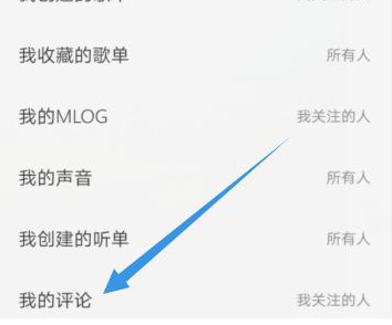 网易云音乐我的评论如何不让陌生人看 网易云音乐评论仅关注人可见方法截图
